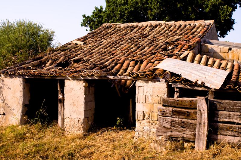  D3C_2273.jpg </br ><small> 2008-07-04 18:10</br >NIKON D300 35mm 1/320s f/8 ISO 200</small>