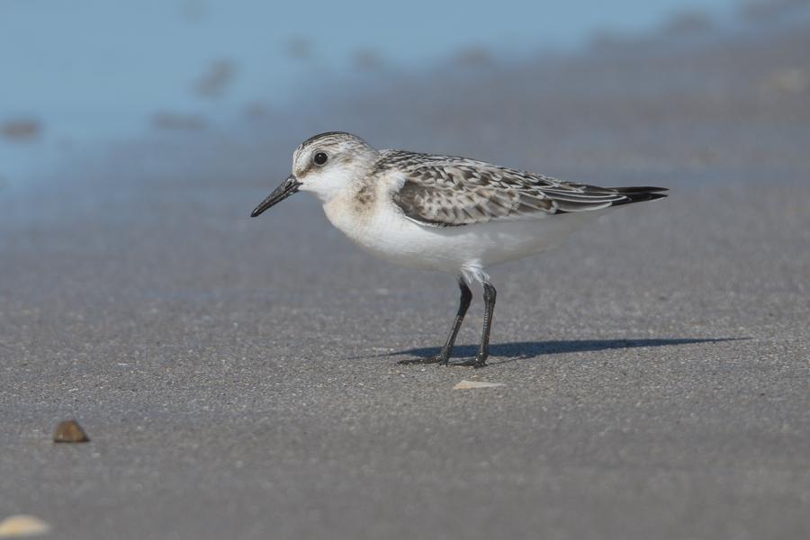 Jylland September 2016