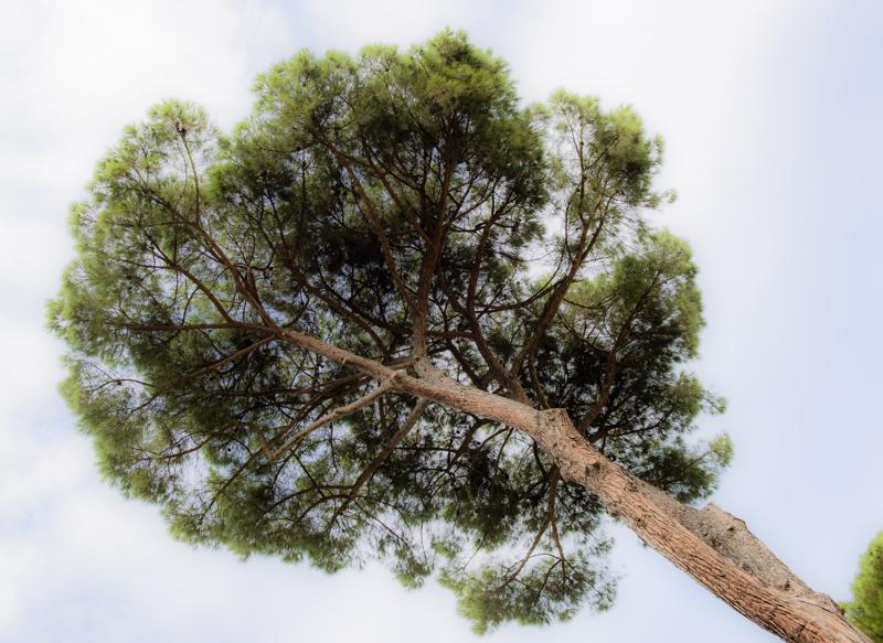  20120929_PB8_1484.JPG </br ><small> 2012-09-29 12:39</br >NIKON D800 + 24.0-70.0 mm f/2.8<br /> 34mm 1/500s f/5.6 ISO 200</small>