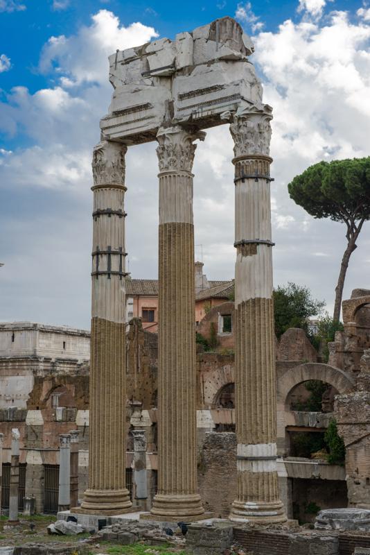  20120929_PB8_1575.JPG </br ><small> 2012-09-29 17:53</br >NIKON D800 + 24.0-70.0 mm f/2.8<br /> 58mm 1/250s f/5.6 ISO 200</small>