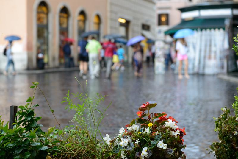  20120930_PB8_1699.JPG </br ><small> 2012-09-30 14:43</br >NIKON D800 + 24.0-70.0 mm f/2.8<br /> 66mm 1/160s f/4 ISO 800</small>