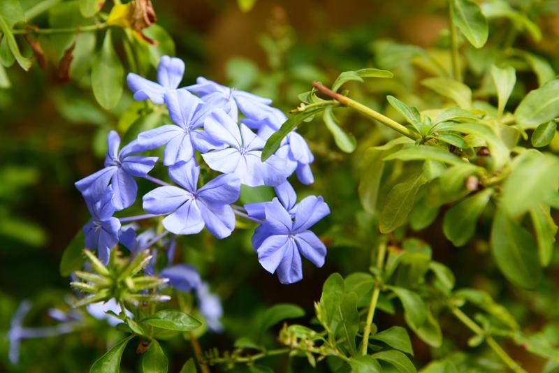  20120928_PB8_1422.JPG </br ><small> 2012-09-28 14:12</br >NIKON D800 + 24.0-70.0 mm f/2.8<br /> 70mm 1/400s f/5.6 ISO 200</small>