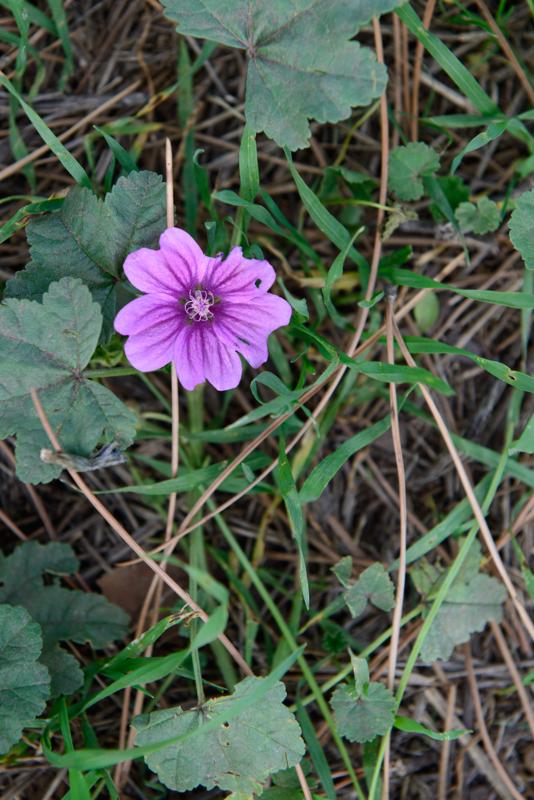  20120929_PB8_1481.JPG </br ><small> 2012-09-29 12:37</br >NIKON D800 + 24.0-70.0 mm f/2.8<br /> 70mm 1/200s f/5.6 ISO 200</small>