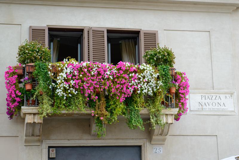  20120930_PB8_1720.JPG </br ><small> 2012-09-30 15:45</br >NIKON D800 + 24.0-70.0 mm f/2.8<br /> 70mm 1/80s f/4 ISO 400</small>