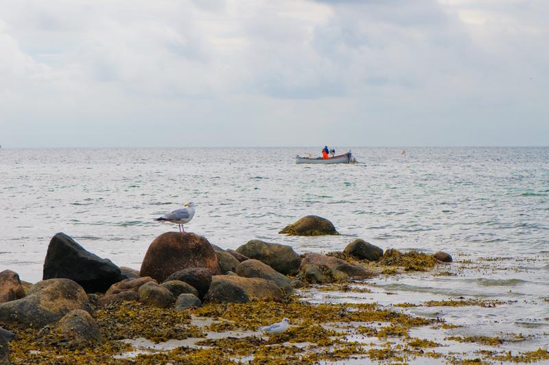  D3C_3465.jpg </br ><small> 2008-08-06 10:43</br >NIKON D300 105mm 1/500s f/8 ISO 200</small>