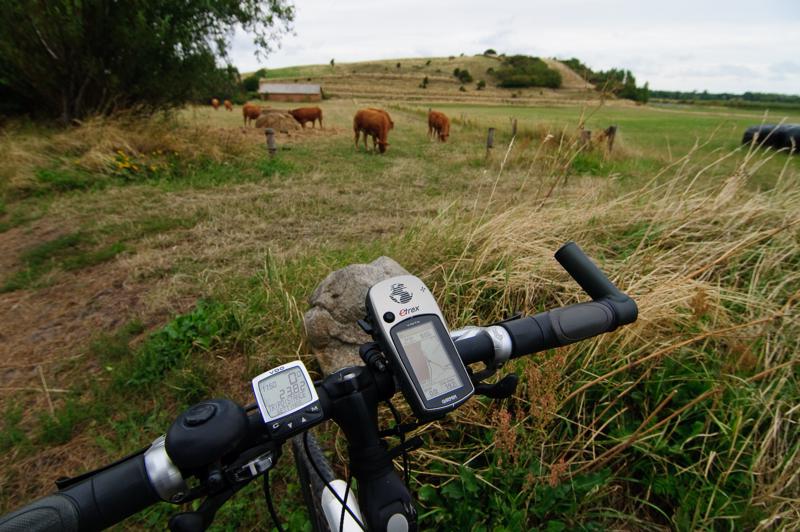  D3C_3475.jpg </br ><small> 2008-08-06 11:49</br >NIKON D300 12mm 1/200s f/8 ISO 200</small>