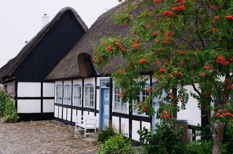  D3C_3492.jpg </br ><small> 2008-08-06 14:48</br >NIKON D300 35mm 1/80s f/5.6 ISO 200</small>