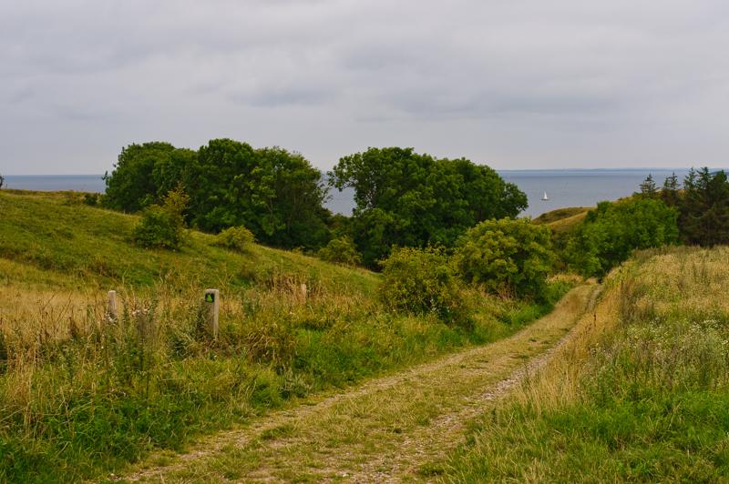  D3C_3503.jpg </br ><small> 2008-08-06 15:39</br >NIKON D300 35mm 1/160s f/5.6 ISO 200</small>