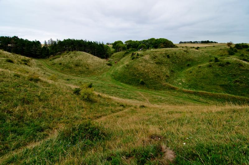  D3C_3510.jpg </br ><small> 2008-08-06 15:47</br >NIKON D300 12mm 1/125s f/8 ISO 200</small>