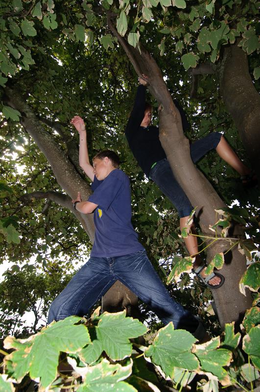  D3C_3538.jpg </br ><small> 2008-08-07 12:07</br >NIKON D300 12mm 1/250s f/8 ISO 200</small>