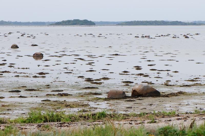  D3C_3546.jpg </br ><small> 2008-08-07 13:27</br >NIKON D300 105mm 1/400s f/8 ISO 200</small>