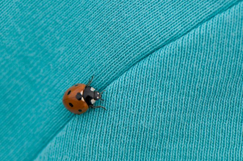  D3C_3555.jpg </br ><small> 2008-08-07 13:30</br >NIKON D300 105mm 1/400s f/8 ISO 200</small>