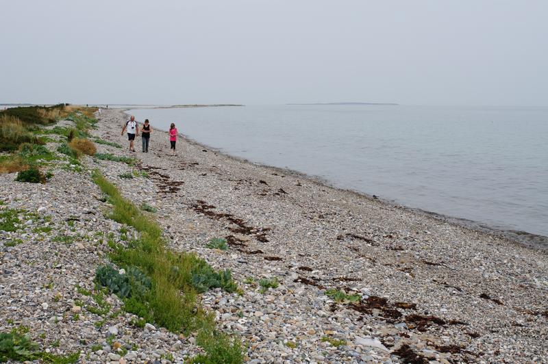  D3C_3558.jpg </br ><small> 2008-08-07 13:52</br >NIKON D300 35mm 1/500s f/8 ISO 200</small>