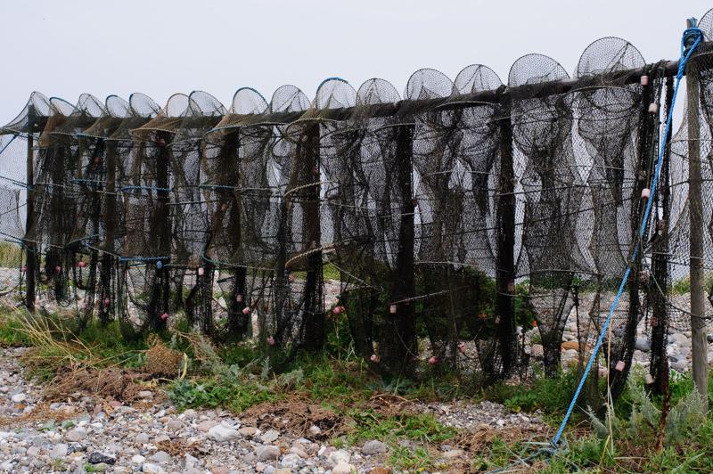  D3C_3569.jpg </br ><small> 2008-08-07 14:00</br >NIKON D300 35mm 1/320s f/8 ISO 200</small>