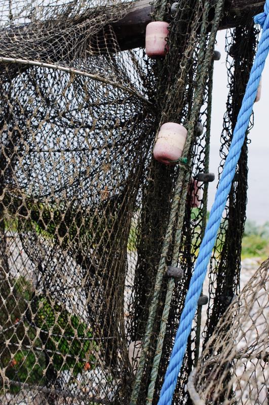  D3C_3570.jpg </br ><small> 2008-08-07 14:01</br >NIKON D300 35mm 1/200s f/8 ISO 200</small>