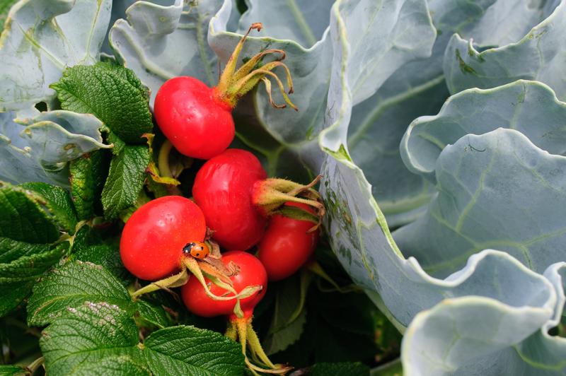  D3C_3572.jpg </br ><small> 2008-08-07 14:02</br >NIKON D300 35mm 1/200s f/8 ISO 200</small>