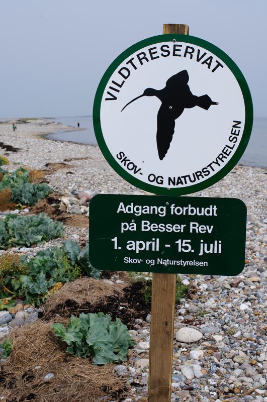  D3C_3574.jpg </br ><small> 2008-08-07 14:05</br >NIKON D300 35mm 1/640s f/8 ISO 200</small>