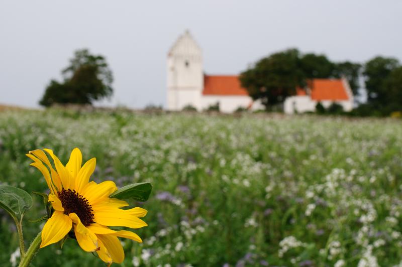  D3C_3592.jpg </br ><small> 2008-08-07 15:29</br >NIKON D300 35mm 1/500s f/8 ISO 200</small>