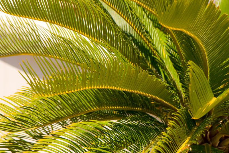  D2C_7625.jpg </br ><small> 2008-05-04 14:44</br >NIKON D200 105mm 1/160s f/8 ISO 100</small>