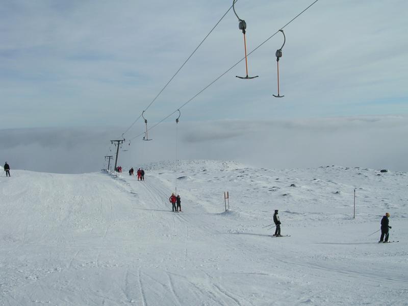  DSCN0841.JPG </br >          </br > <small> 2006-02-25 18:23</br >E3200 5.8mm 1/510s f/5.6 ISO 50</small>