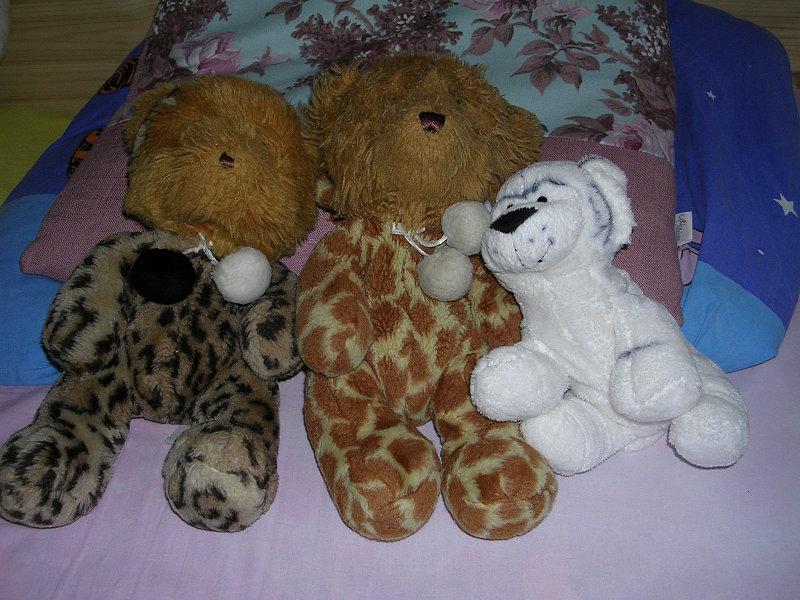  DSCN0824.JPG </br >          </br > <small> 2006-02-25 16:49</br >E3200 5.8mm 10/601s f/2.8 ISO 50</small>