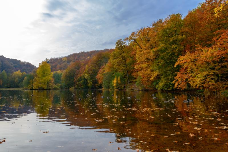  20121020_PB8_3124.JPG </br ><small> 2012-10-20 14:42</br >NIKON D800 + 14.0-24.0 mm f/2.8<br /> 24mm 1/200s f/5.6 ISO 100</small>