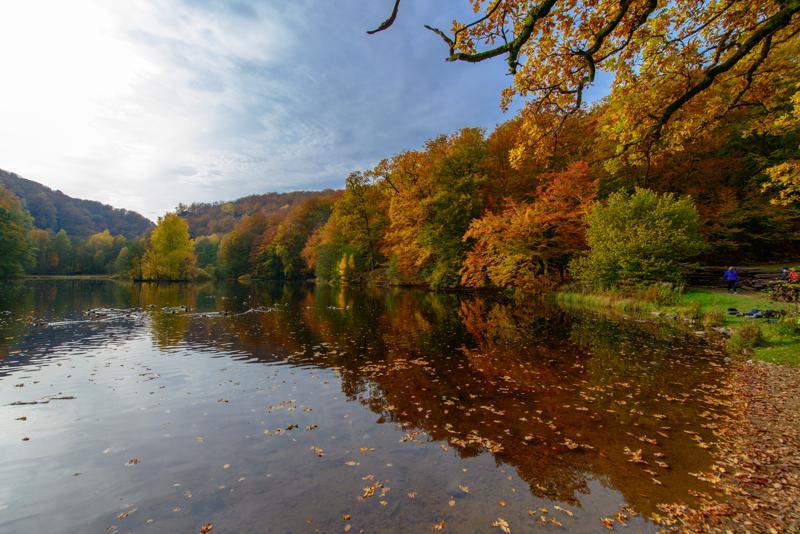  20121020_PB8_3131.JPG </br ><small> 2012-10-20 14:44</br >NIKON D800 + 14.0-24.0 mm f/2.8<br /> 15mm 1/250s f/5.6 ISO 100</small>