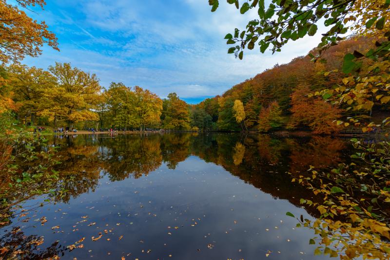  20121020_PB8_3134.JPG </br ><small> 2012-10-20 14:47</br >NIKON D800 + 14.0-24.0 mm f/2.8<br /> 15mm 1/100s f/6.3 ISO 100</small>