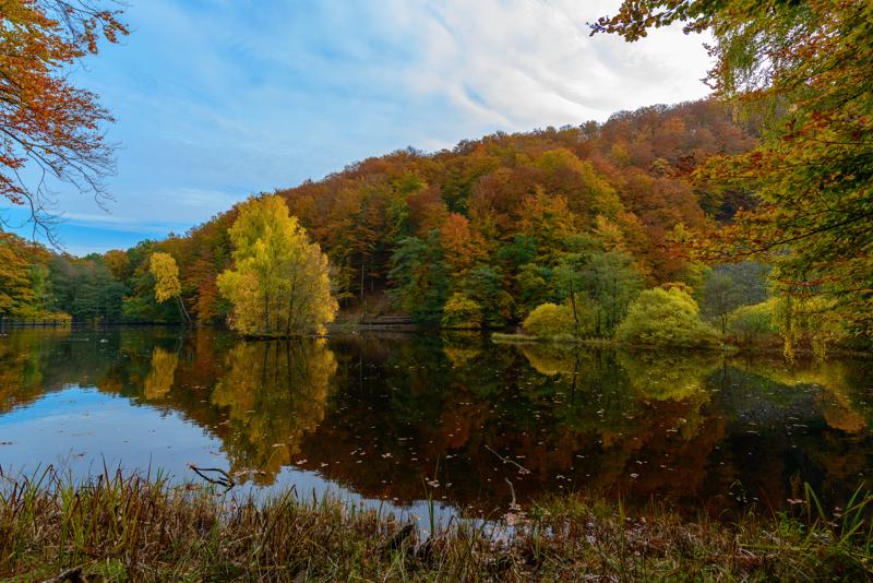  20121020_PB8_3136.JPG </br ><small> 2012-10-20 14:49</br >NIKON D800 + 14.0-24.0 mm f/2.8<br /> 18mm 1/250s f/5.6 ISO 200</small>