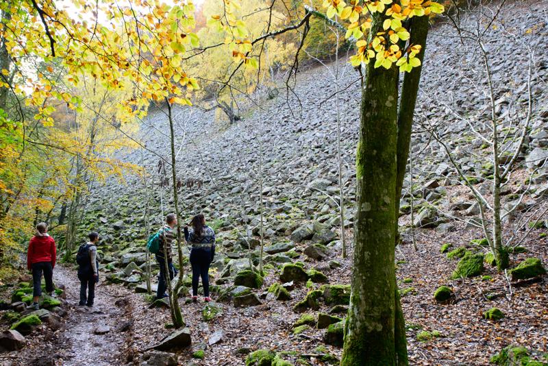  20121020_PB8_3140.JPG </br ><small> 2012-10-20 14:52</br >NIKON D800 + 14.0-24.0 mm f/2.8<br /> 24mm 1/80s f/5.6 ISO 200</small>