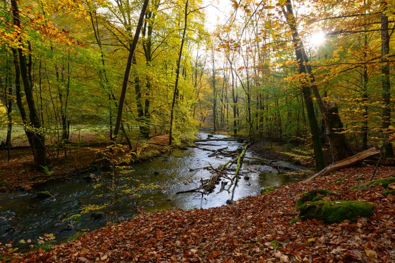  20121020_PB8_3147.JPG </br ><small> 2012-10-20 15:05</br >NIKON D800 + 14.0-24.0 mm f/2.8<br /> 21mm 1/125s f/8 ISO 400</small>