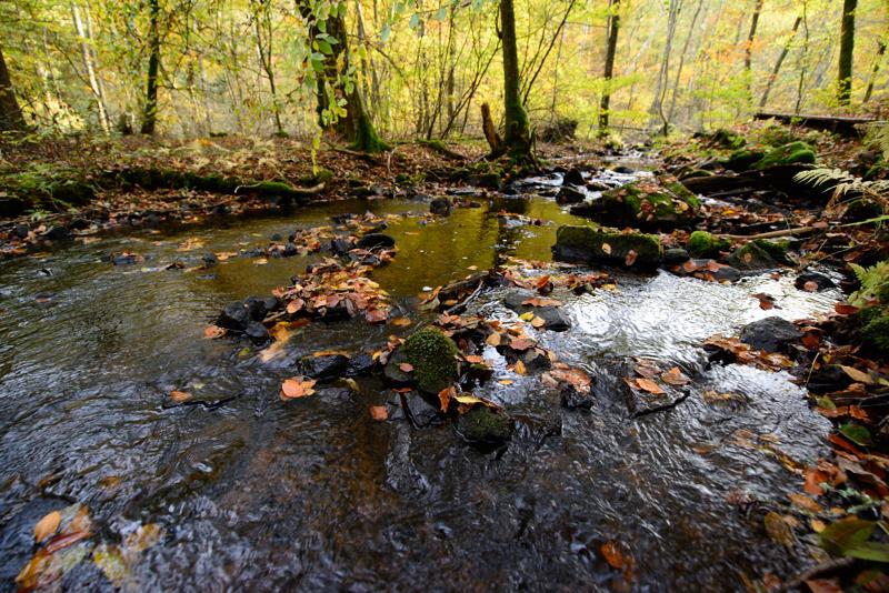  20121020_PB8_3151.JPG </br ><small> 2012-10-20 15:07</br >NIKON D800 + 14.0-24.0 mm f/2.8<br /> 14mm 1/50s f/4 ISO 400</small>