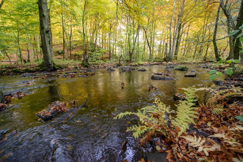  20121020_PB8_3160.JPG </br ><small> 2012-10-20 15:16</br >NIKON D800 + 14.0-24.0 mm f/2.8<br /> 14mm 1/30s f/4 ISO 320</small>