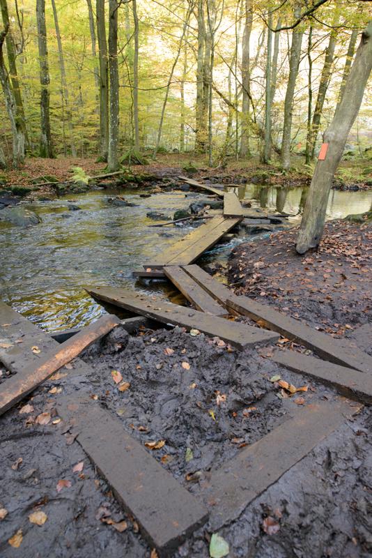  20121020_PB8_3163.JPG </br ><small> 2012-10-20 15:18</br >NIKON D800 + 14.0-24.0 mm f/2.8<br /> 24mm 1/50s f/5.6 ISO 900</small>