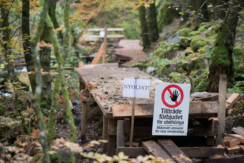  20121020_PB8_3166.JPG </br ><small> 2012-10-20 15:22</br >NIKON D800 + 105.0 mm f/2.8<br /> 105mm 1/250s f/4 ISO 1600</small>