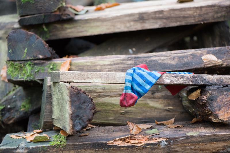  20121020_PB8_3170.JPG </br ><small> 2012-10-20 15:25</br >NIKON D800 + 105.0 mm f/2.8<br /> 105mm 1/250s f/4 ISO 2800</small>