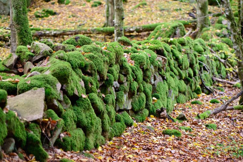  20121020_PB8_3182.JPG </br ><small> 2012-10-20 15:32</br >NIKON D800 + 105.0 mm f/2.8<br /> 105mm 1/250s f/4 ISO 5600</small>