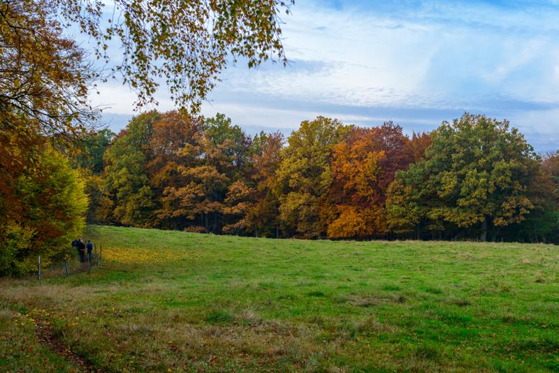  20121020_PB8_3240.JPG </br ><small> 2012-10-20 16:55</br >NIKON D800 + 50.0 mm f/1.4<br /> 50mm 1/100s f/5.6 ISO 320</small>