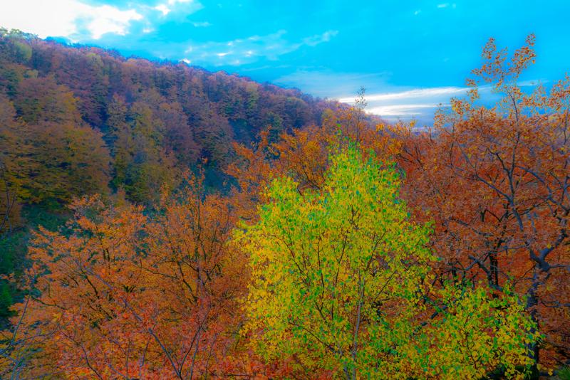  20121020_PB8_3251.JPG </br ><small> 2012-10-20 17:05</br >NIKON D800 + 14.0-24.0 mm f/2.8<br /> 24mm 1/50s f/5.6 ISO 220</small>