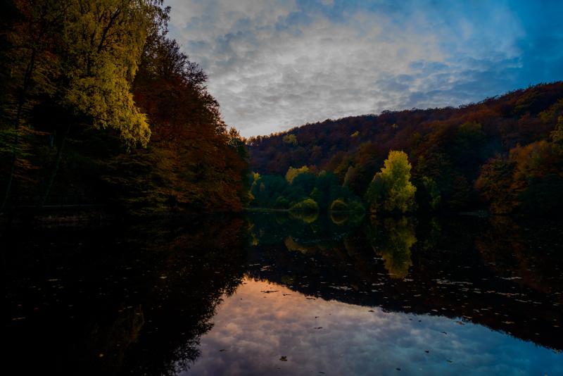  20121020_PB8_3284.JPG </br ><small> 2012-10-20 18:07</br >NIKON D800 + 14.0-24.0 mm f/2.8<br /> 24mm 1/5s f/5.6 ISO 400</small>