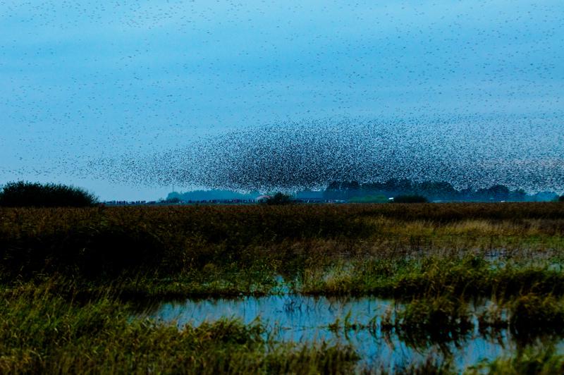  D3C_4872.jpg </br ><small> 2008-10-12 18:34</br >NIKON D300 95mm 1/60s f/4 ISO 1400</small>