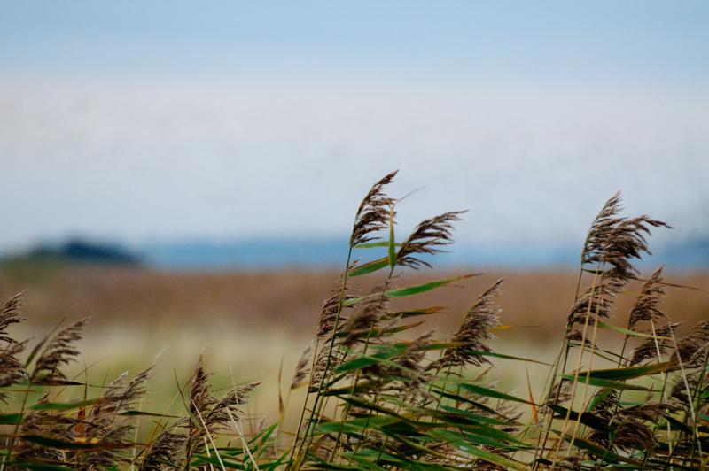  D3C_4892.jpg </br ><small> 2008-10-12 18:38</br >NIKON D300 200mm 1/40s f/4 ISO 1600</small>