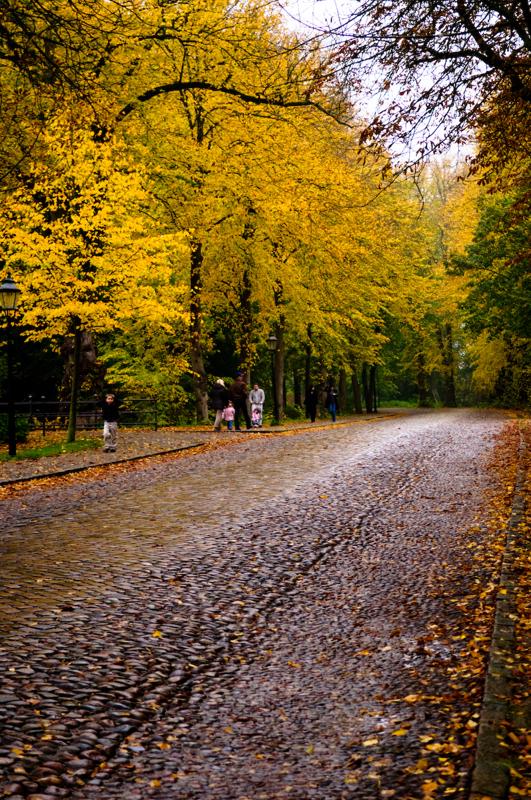  D3C_4947.jpg </br ><small> 2008-10-13 17:31</br >NIKON D300 55mm 1/80s f/2.8 ISO 400</small>