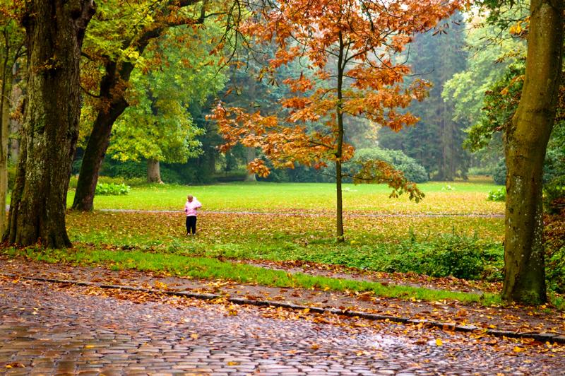  D3C_4955.jpg </br ><small> 2008-10-13 17:34</br >NIKON D300 55mm 1/20s f/4 ISO 400</small>