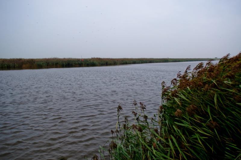  D3C_4969.jpg </br ><small> 2008-10-13 18:09</br >NIKON D300 17mm 1/30s f/4 ISO 400</small>