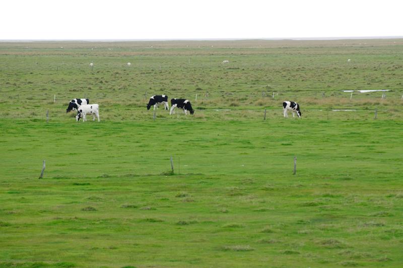  D3C_5092.jpg </br ><small> 2008-10-14 17:55</br >NIKON D300 200mm 1/40s f/5 ISO 400</small>