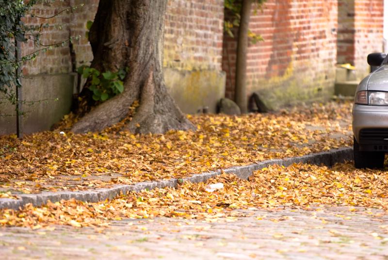  D2C_8235.jpg </br ><small> 2008-10-13 15:10</br >NIKON D200 200mm 1/60s f/3.5 ISO 200</small>