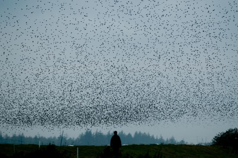  D3C_4853.jpg </br ><small> 2008-10-12 18:32</br >NIKON D300 200mm 1/60s f/4 ISO 320</small>