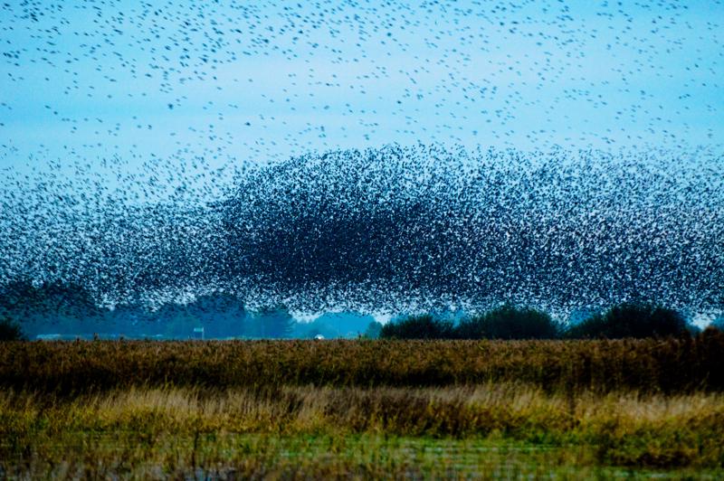  D3C_4868.jpg </br ><small> 2008-10-12 18:34</br >NIKON D300 200mm 1/60s f/4 ISO 1600</small>