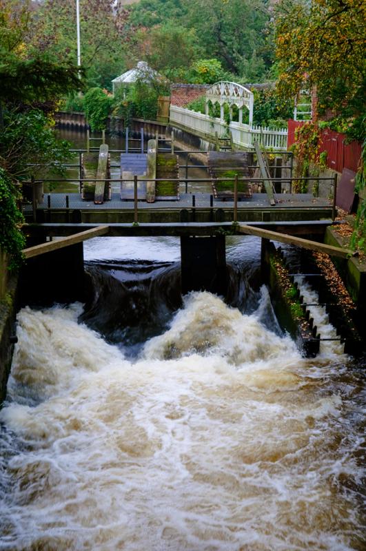  D3C_4907.jpg </br ><small> 2008-10-13 12:23</br >NIKON D300 40mm 1/40s f/5.6 ISO 200</small>